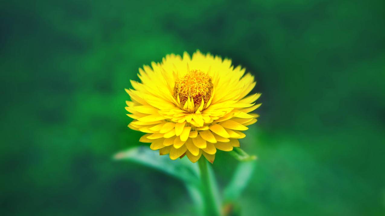 hero-image